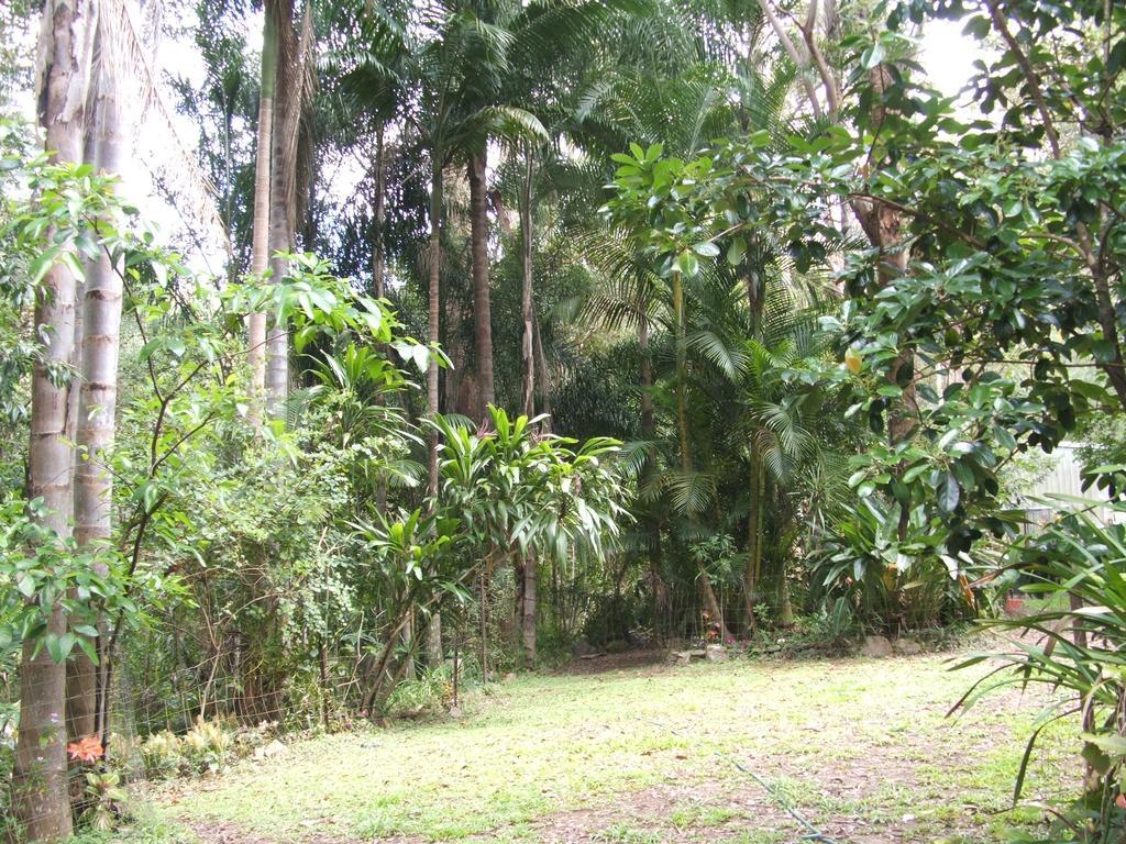 Rumbalara Bed&Breakfast Gold Coast Bagian luar foto