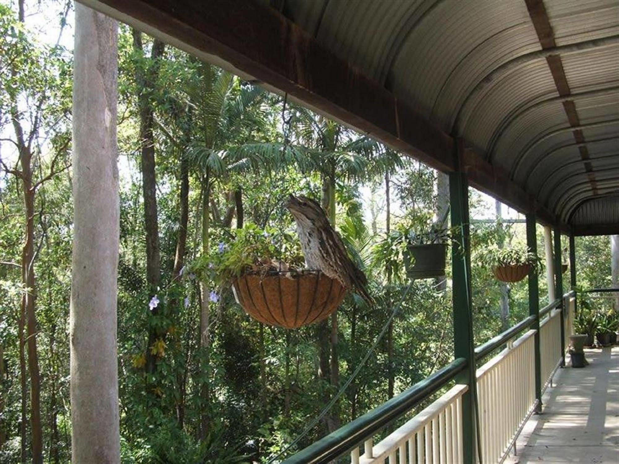 Rumbalara Bed&Breakfast Gold Coast Bagian luar foto